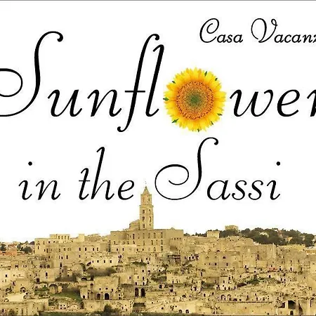 Sunflower 1 In Near The Sassi * Matera